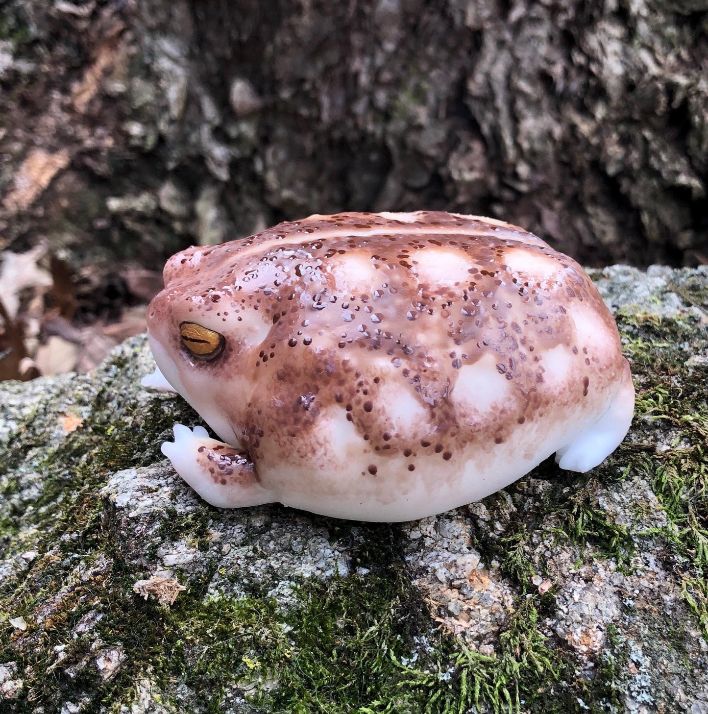 GIANT FROG SQUISHY. Desert Rain Grumpy Frog silicone taba style Weirdcore Desk Toy for Stress Relief