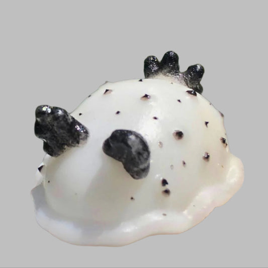SQUISHY SEA HARE Silicone Squishy. Weirdcore Desk Toy for Stress Relief Collectable Nudibranch