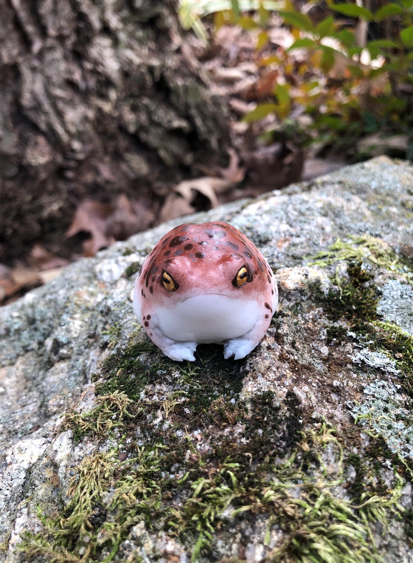 SQUISHY Desert Rain Frog. Cute butt frog fidget Weirdcore