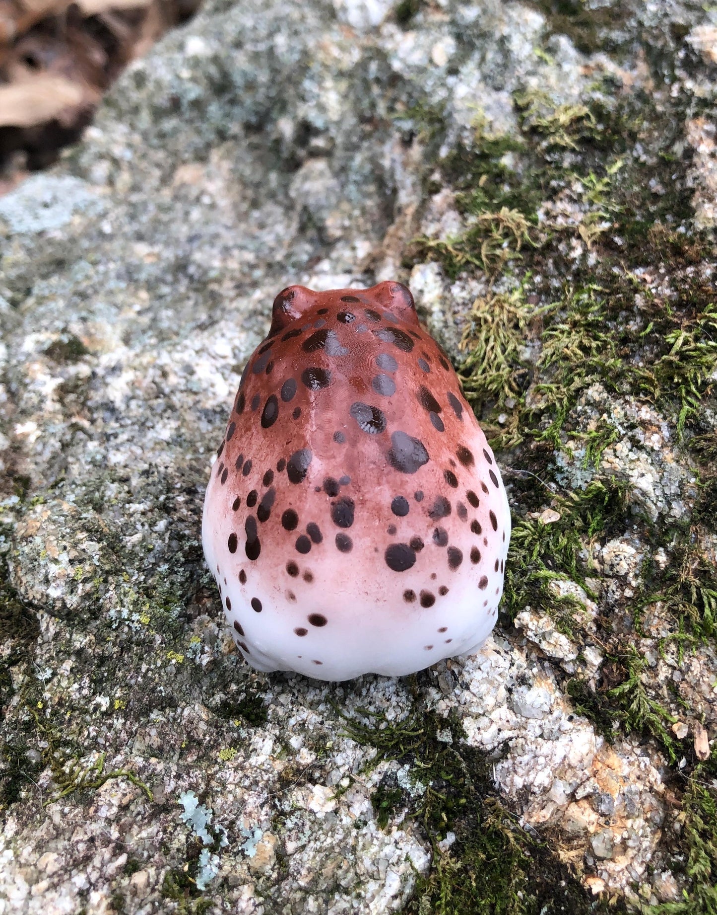 SQUISHY Desert Rain Frog. Cute butt frog fidget Weirdcore