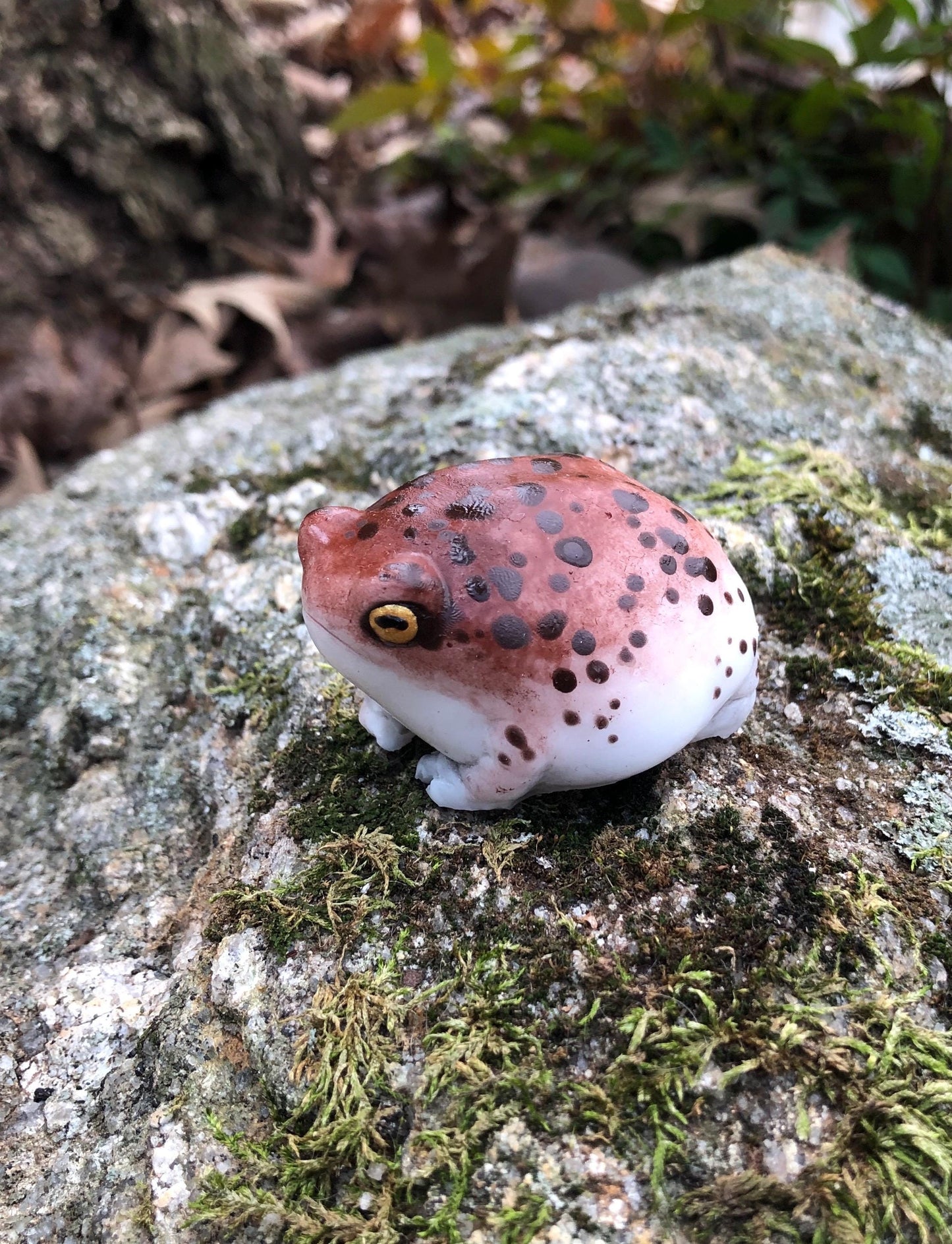 SQUISHY Desert Rain Frog. Cute butt frog fidget Weirdcore