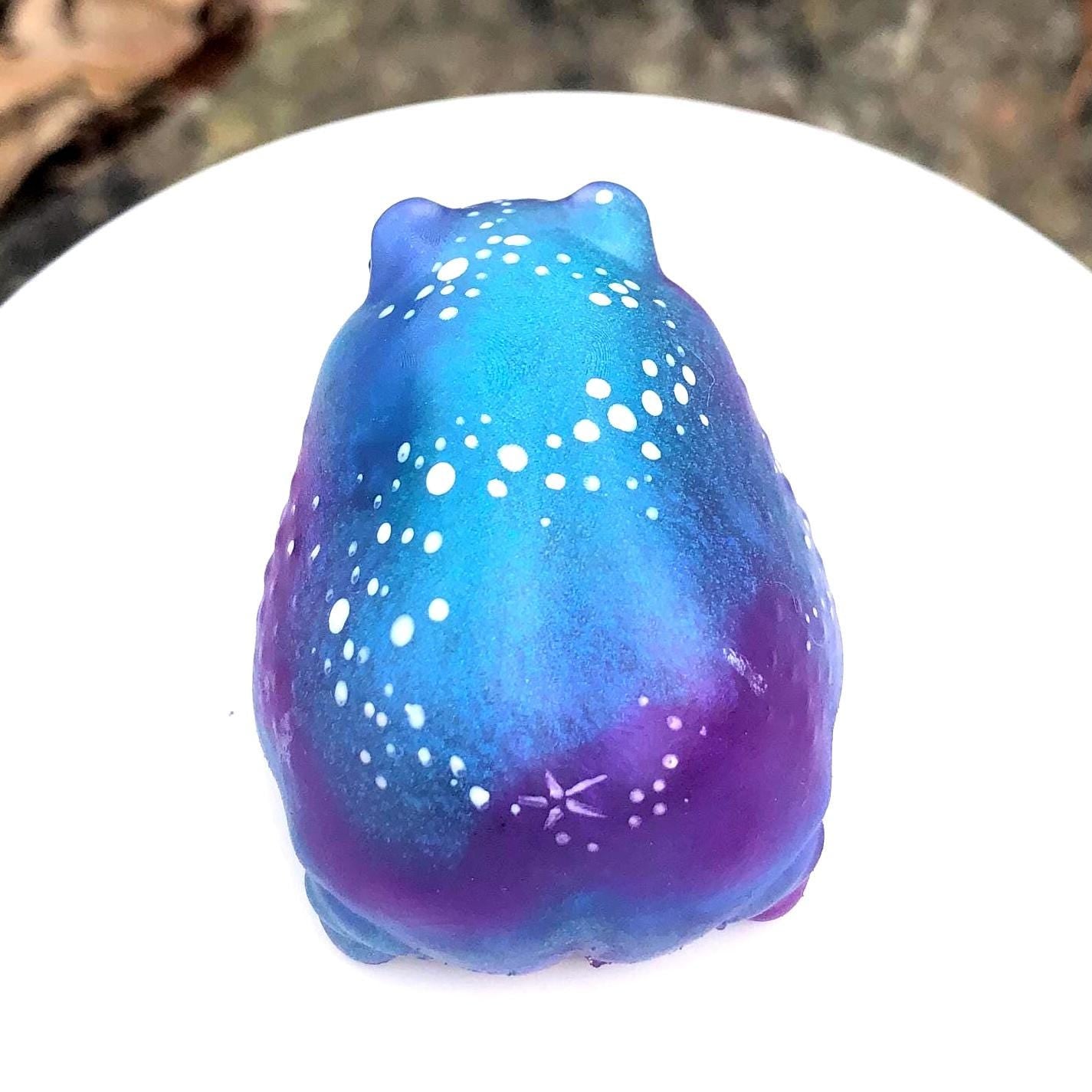 GALAXY GLOW Hand Painted Galaxy Frog Silicone Squishy – Weirdcore Desk Toy for Stress Relief Limited Edition Desert Rain Frog. Cute Butt