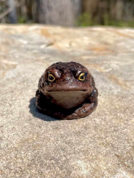 TOAD silicone squishy stress buddy