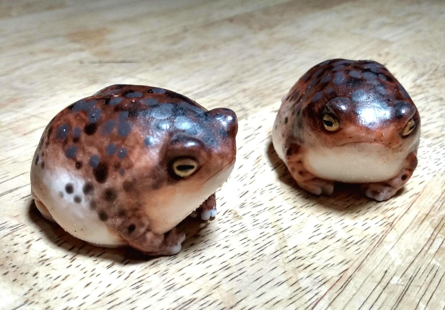 SQUISHY Desert Rain Frog. Cute butt frog fidget Weirdcore