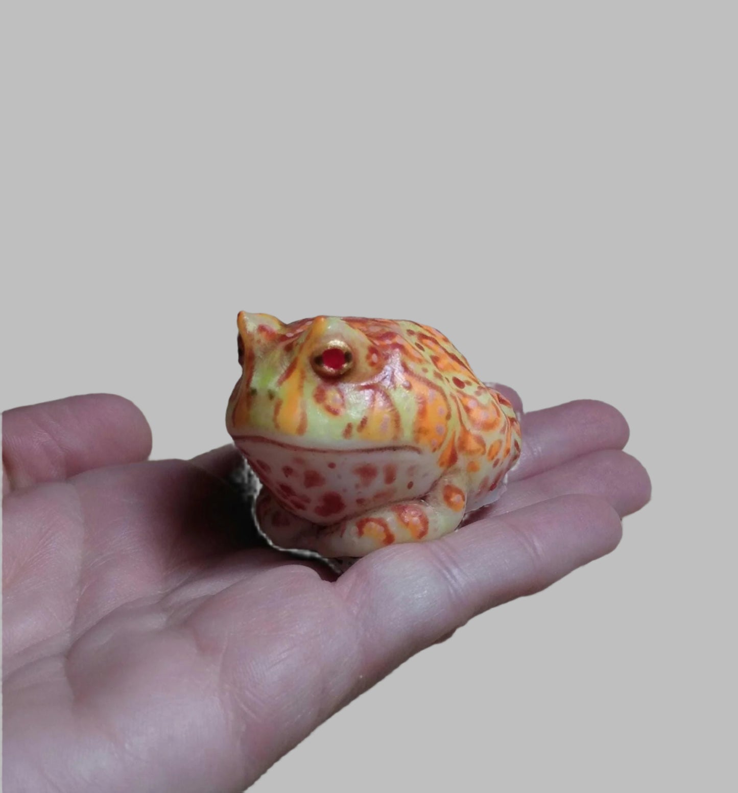 SQUISHY Albino PacMan type Frog. Silicone Frog Fidget
