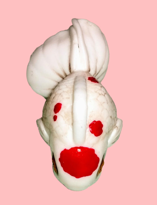 Squishy GOLDFISH fidget stress toy Weirdcore