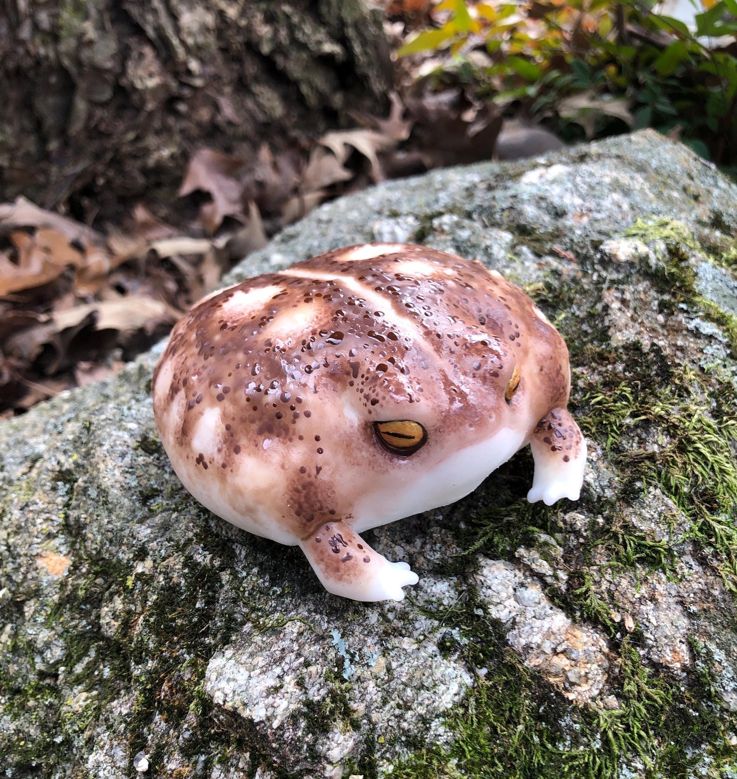GIANT FROG SQUISHY. Desert Rain Grumpy Frog silicone taba style Weirdcore Desk Toy for Stress Relief