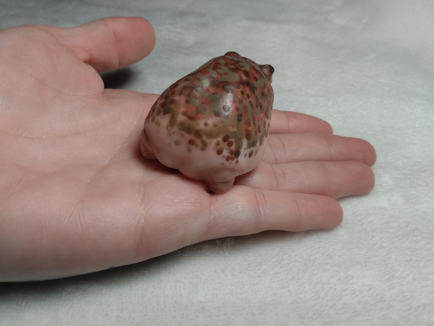 SQUISHY Desert Rain Frog. Cute butt frog fidget Weirdcore