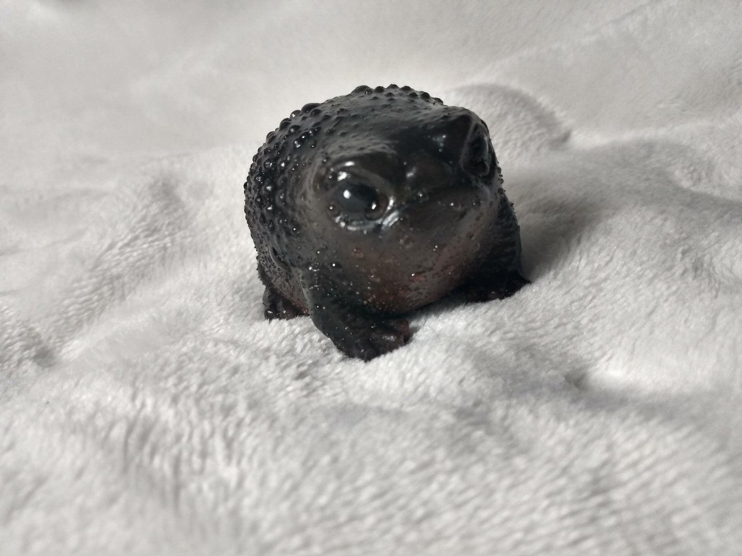 SQUISHY Avocado Frog. Grumpy "Poo" FROG.