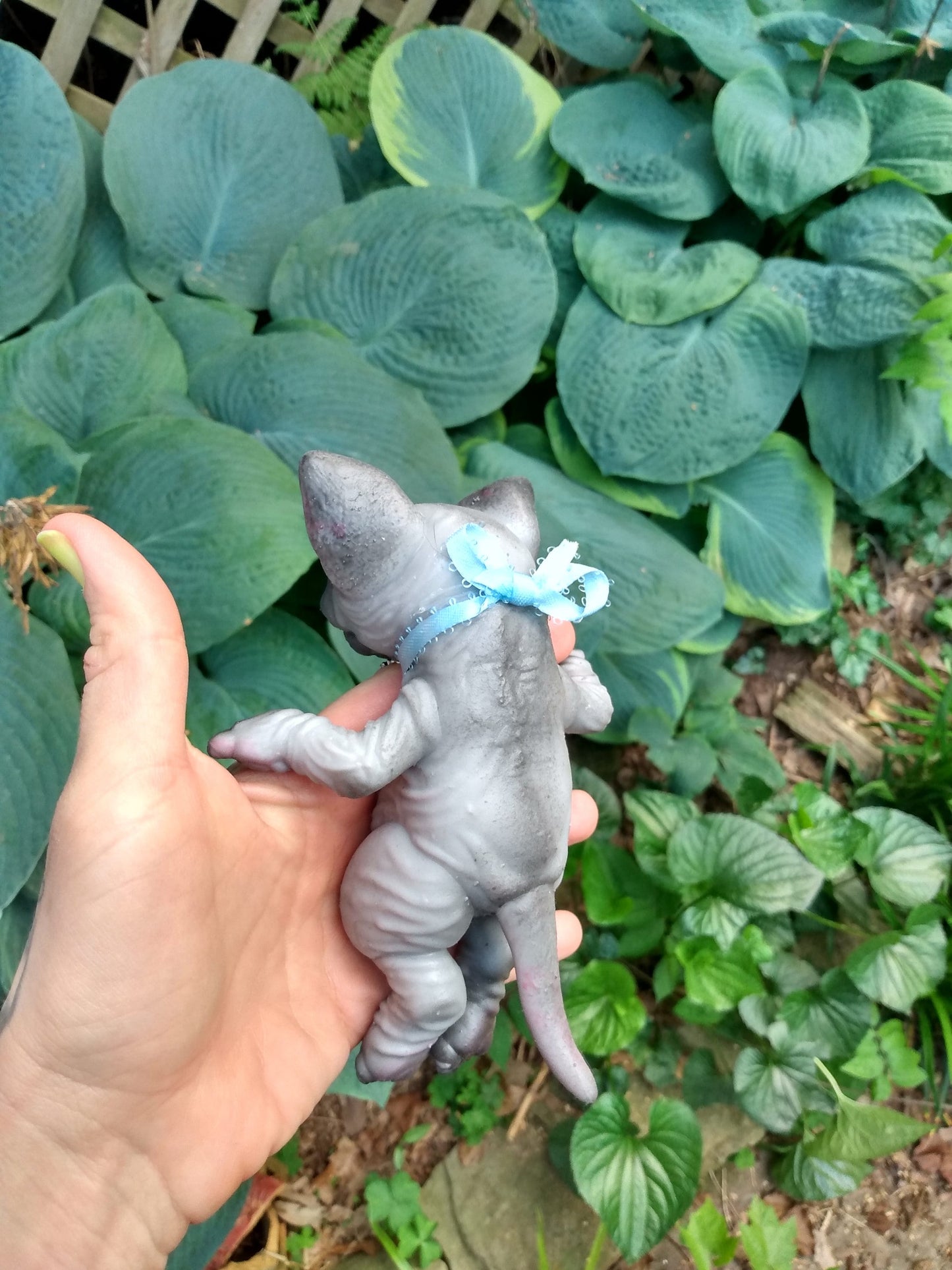 Silicone Sphynx Cat Kitten CUSTOMS