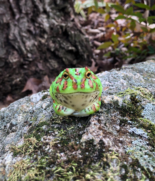 SQUISHY PacMan type Frog. Silicone Frog Fidget