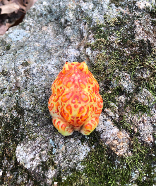 SQUISHY Albino PacMan type Frog. Silicone Frog Fidget