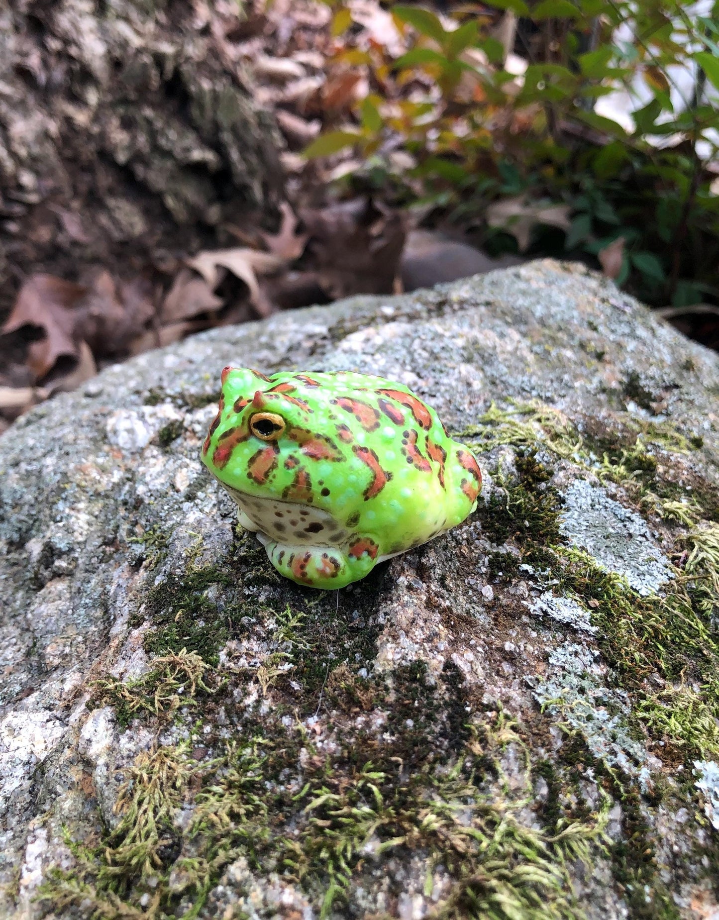 SQUISHY PacMan type Frog. Silicone Frog Fidget