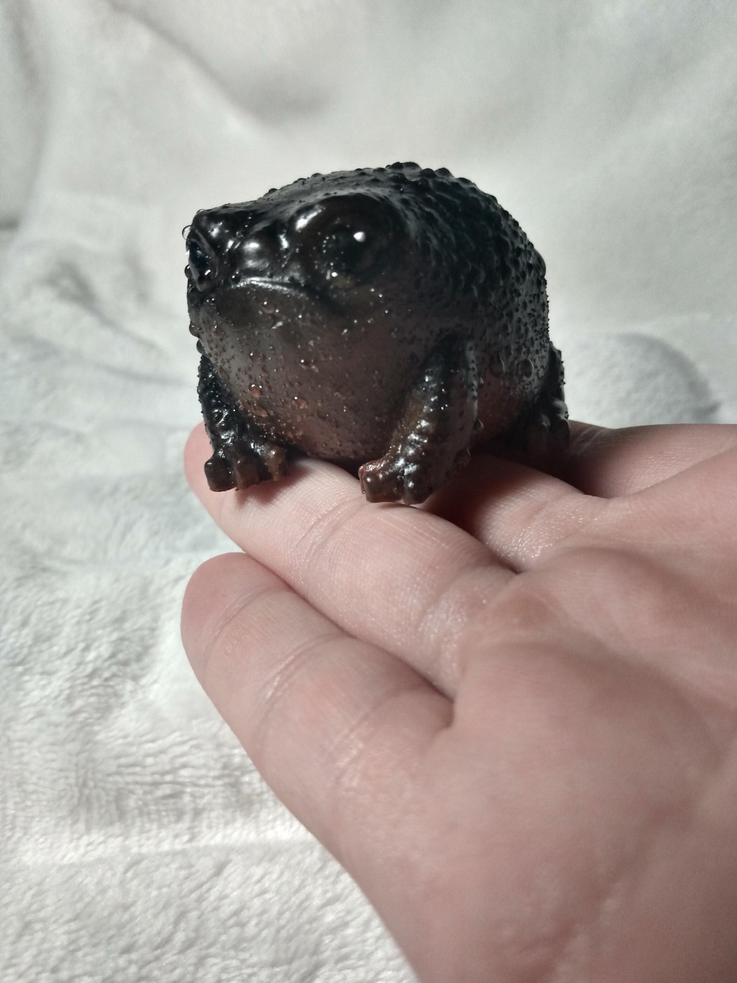 SQUISHY Avocado Frog. Grumpy "Poo" FROG.