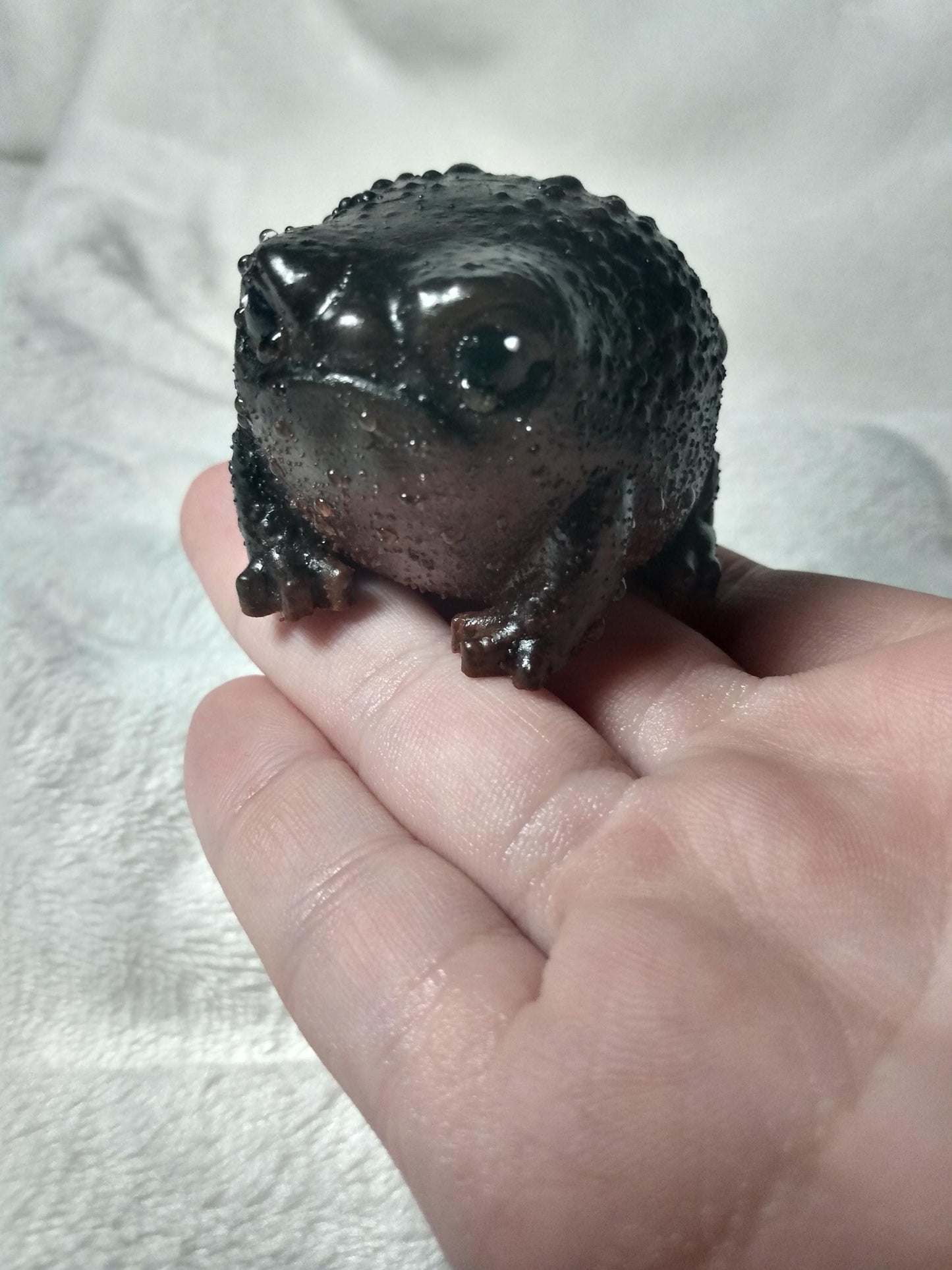 SQUISHY Avocado Frog. Grumpy "Poo" FROG.
