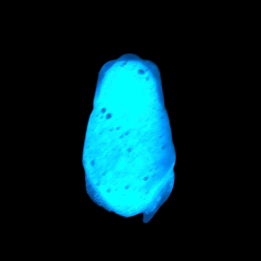 GALAXY GLOW Limted Edition SQUISHY Green Tree Frog. Cute frog fidget Anti Stress Weirdcore