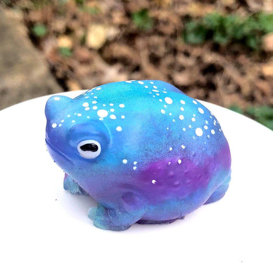 GALAXY GLOW Hand Painted Galaxy Frog Silicone Squishy – Weirdcore Desk Toy for Stress Relief Limited Edition Desert Rain Frog. Cute Butt