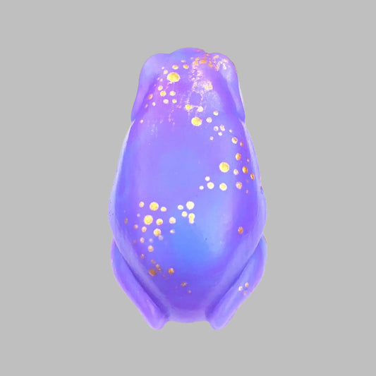 GALAXY Purple and Gold Limted Edition SQUISHY Green Tree Frog. Cute frog fidget AntiStress Calming