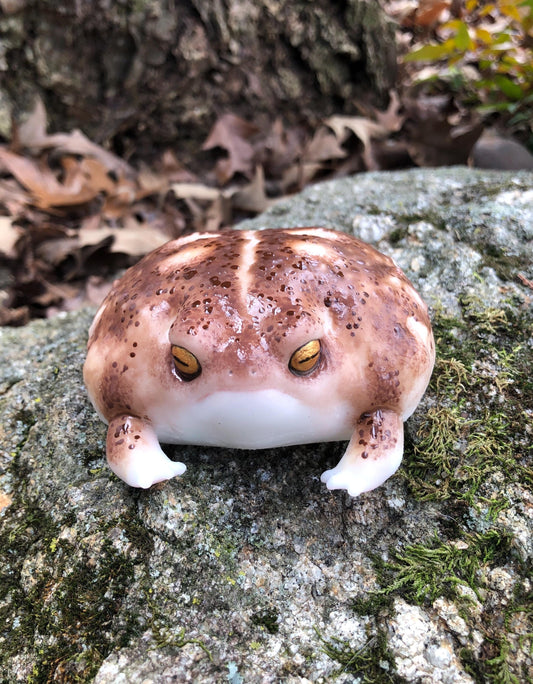 GIANT FROG SQUISHY. Desert Rain Grumpy Frog silicone taba style Weirdcore Desk Toy for Stress Relief