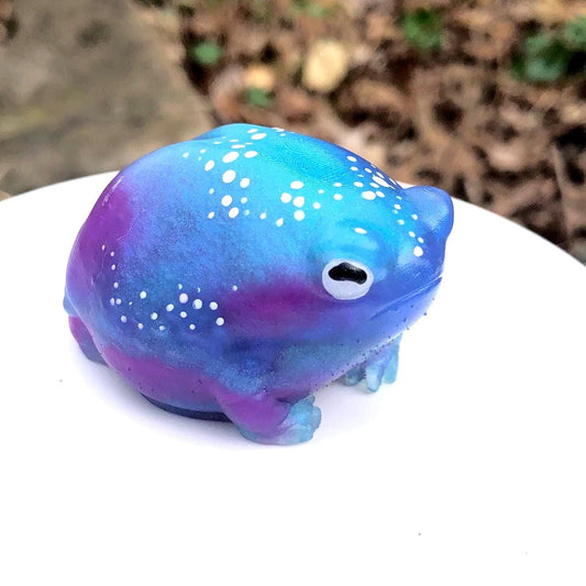 GALAXY GLOW Hand Painted Galaxy Frog Silicone Squishy – Weirdcore Desk Toy for Stress Relief Limited Edition Desert Rain Frog. Cute Butt