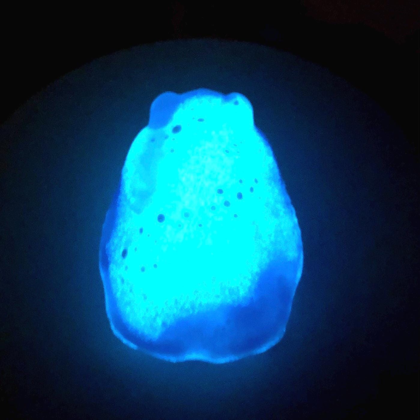 GALAXY GLOW Hand Painted Galaxy Frog Silicone Squishy – Weirdcore Desk Toy for Stress Relief Limited Edition Desert Rain Frog. Cute Butt