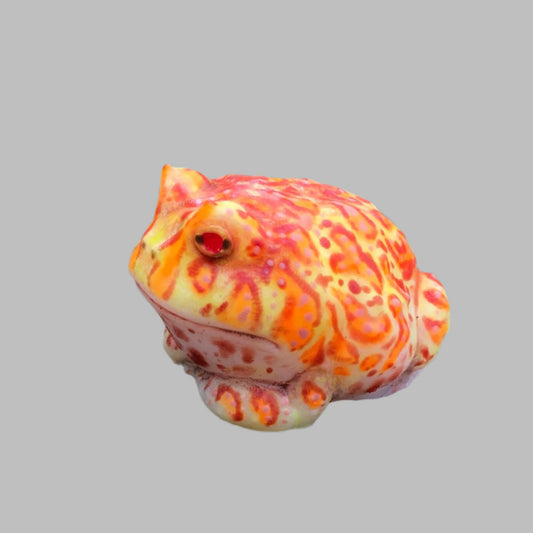 SQUISHY Albino PacMan type Frog. Silicone Frog Fidget