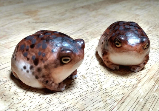 SQUISHY Desert Rain Frog. Cute butt frog fidget Weirdcore