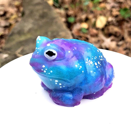 GALAXY GLOW Hand Painted Galaxy Frog Silicone Squishy – Weirdcore Desk Toy for Stress ReliefLimited EditionSQUISHY PacMan type