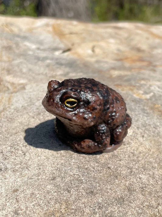 TOAD silicone squishy stress buddy