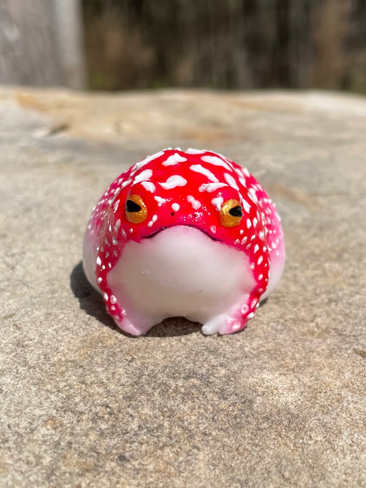 “Amanita” Edition Frog Squishy