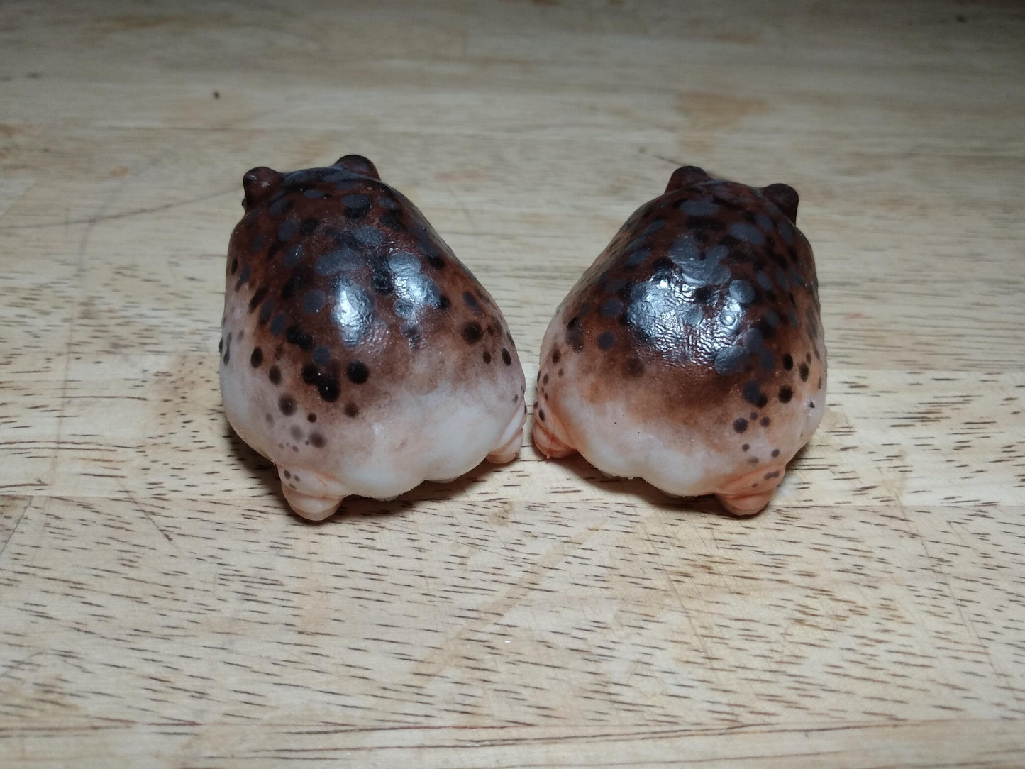 SQUISHY Desert Rain Frog. Cute butt frog fidget Weirdcore