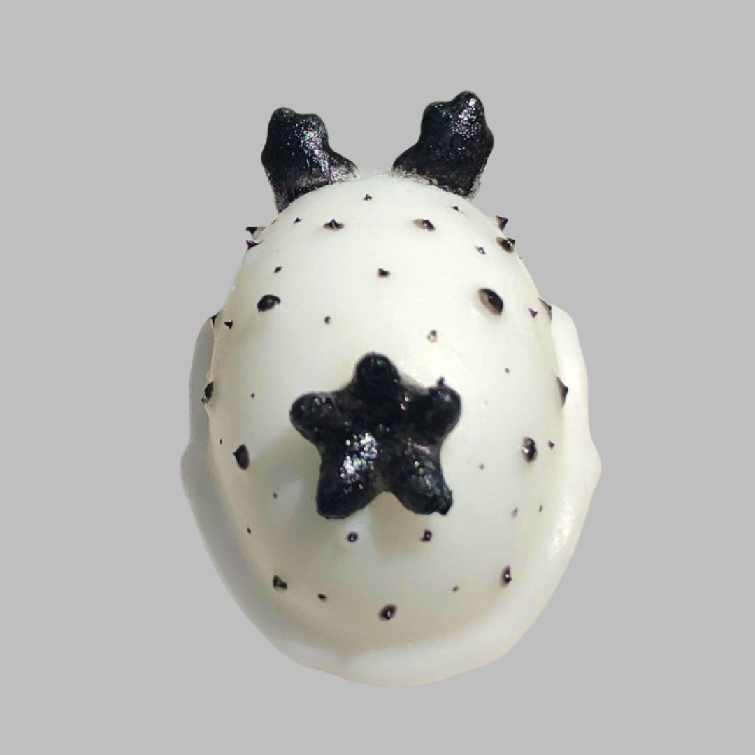 SQUISHY SEA HARE Silicone Squishy. Weirdcore Desk Toy for Stress Relief Collectable Nudibranch
