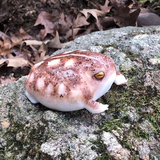 GIANT FROG SQUISHY. Desert Rain Grumpy Frog silicone taba style Weirdcore Desk Toy for Stress Relief