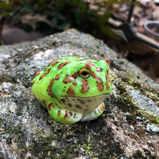 SQUISHY PacMan type Frog. Silicone Frog Fidget