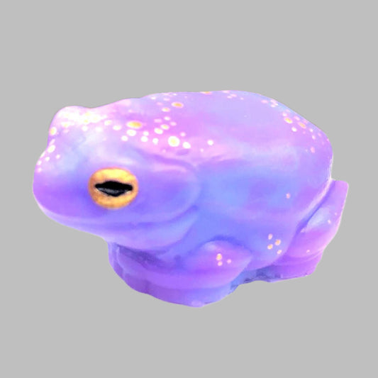 GALAXY Purple and Gold Limted Edition SQUISHY Green Tree Frog. Cute frog fidget AntiStress Calming